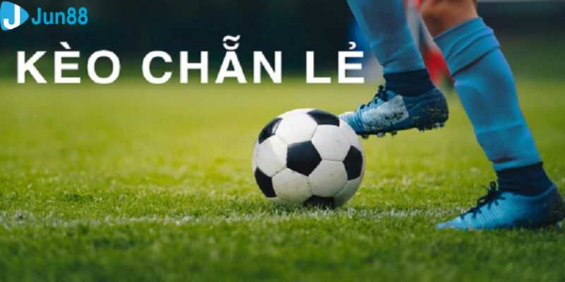 Các loại kèo chẵn lẻ được sử dụng phổ biến